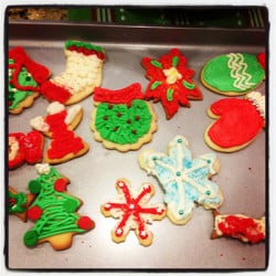 cookie decorating cover