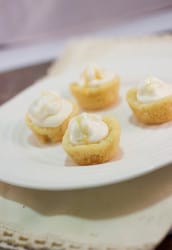 mini orange creamsicle cheesecake bites