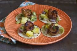 mini shrimp tostadas