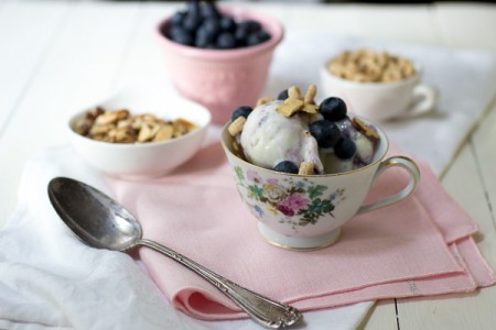 Blueberries and Yoplait ® Frozen Yogurt 