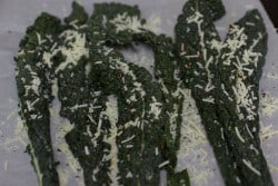 Crispy Kale Salad 3