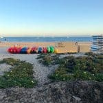 Dog Friendly Santa Barbara Beach
