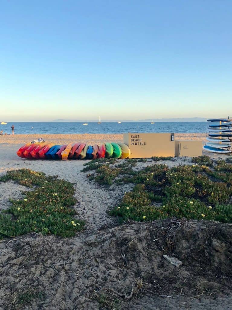 is east beach santa barbara dog friendly